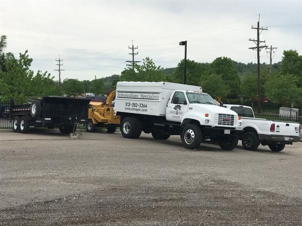 Arbspec Tree Specialists