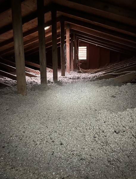 Fortified Insulation