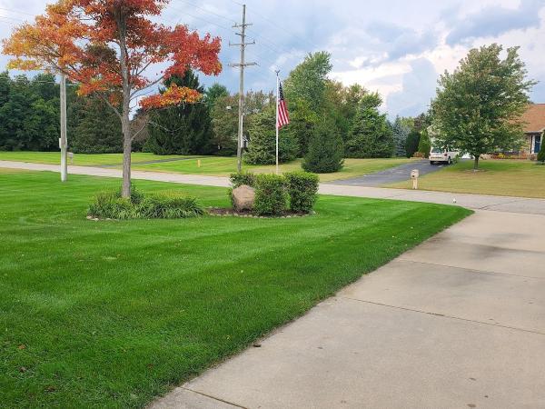 Bowman Turfgrass Professionals