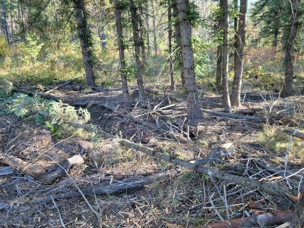 Next Generation Logging