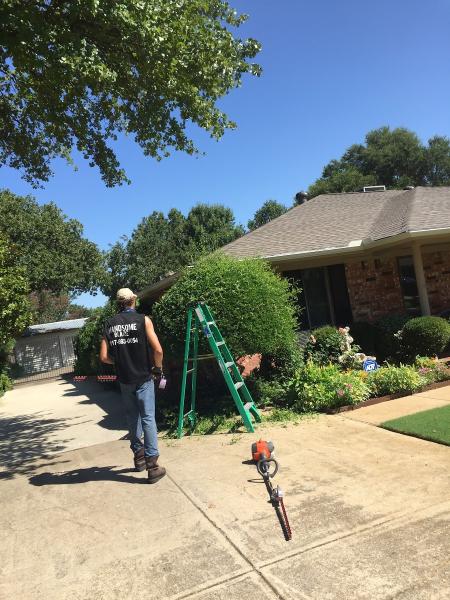 Handsome Lawn Service