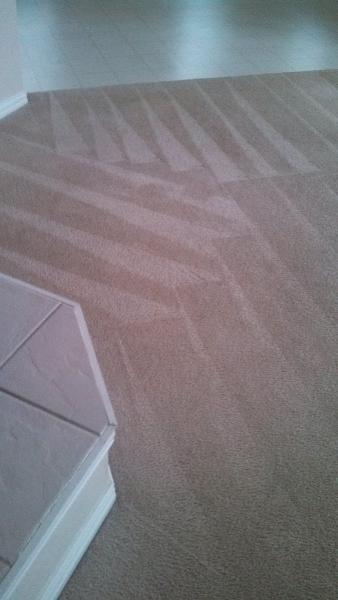Kel's Carpet Cleaning