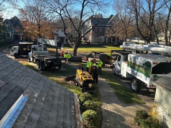 Fernandez Tree Service
