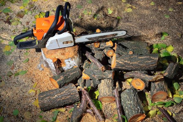 Fernandez Tree Service
