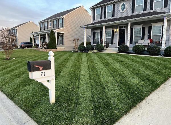 Barbosa Landscaping