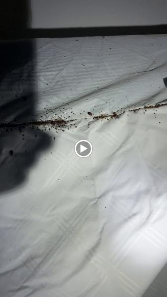 Dayton Pest Control