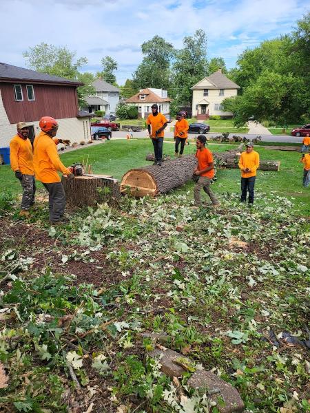 Tree Cutters Experts Inc