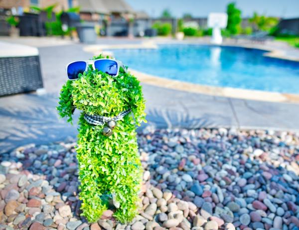 Thunder Pools and Spas LLC