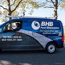 BHB Pest Elimination
