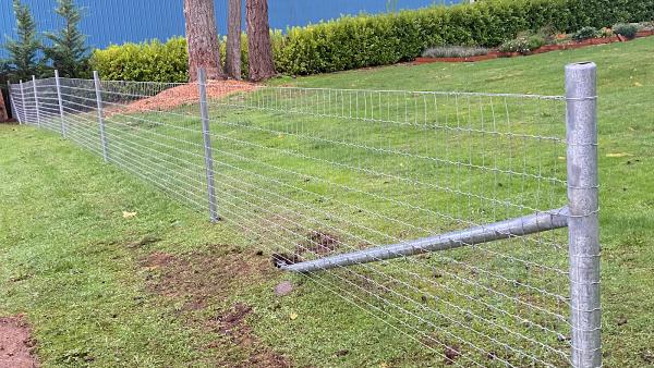 Mountain M Fencing