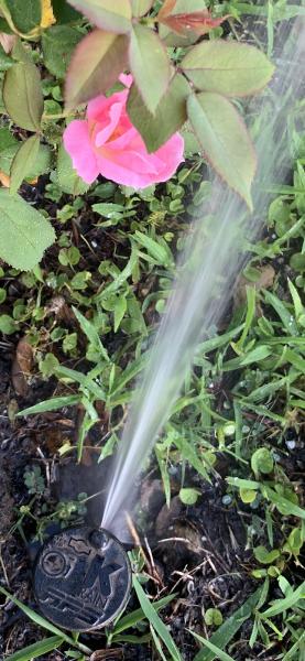 Superior Sprinkler Repair Services Dallas