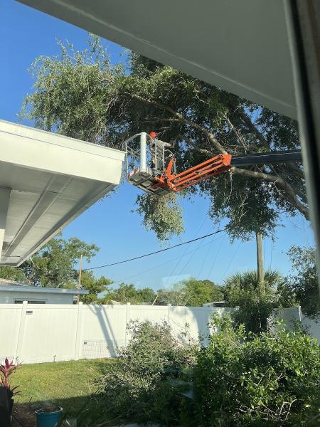 Pfeifer Tree Service