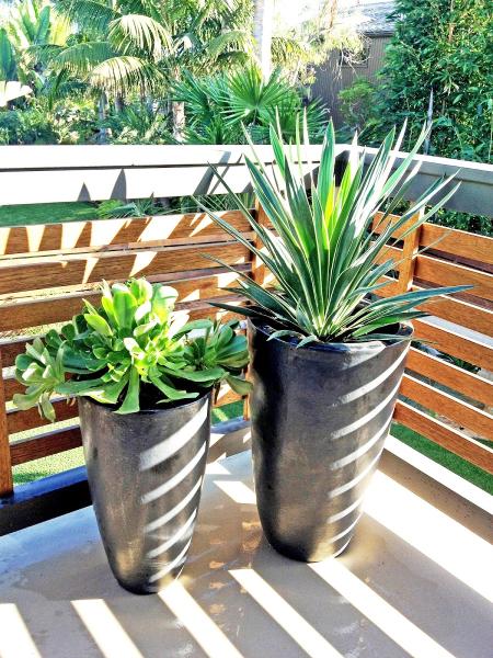 Plantscapers