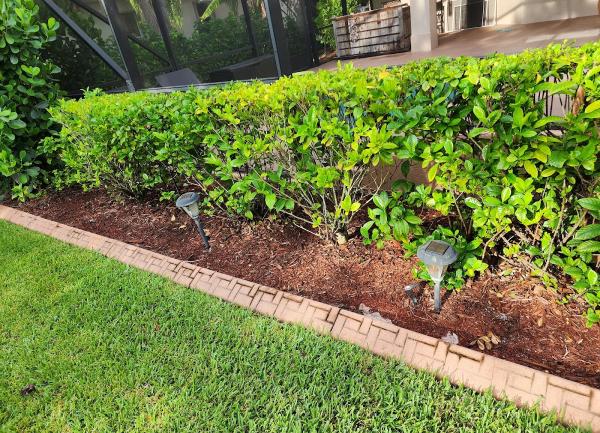 Spot Off Pressure Cleaning LLC