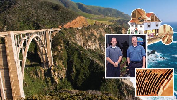 Pacific Coast Termite Inc