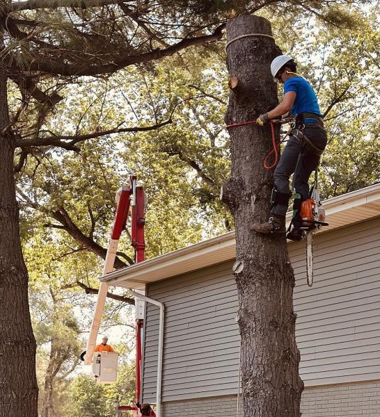 Vinnys Tree Service