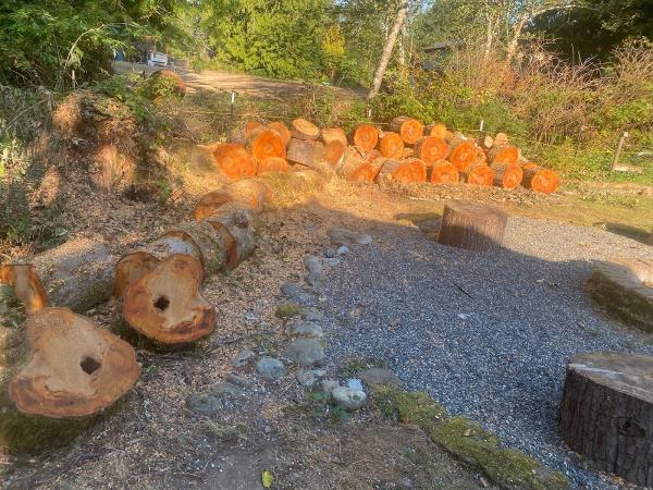 The Honest Arborist LLC