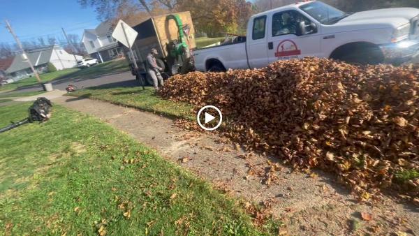 Rd's Total Lawn