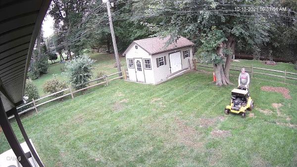 Rd's Total Lawn