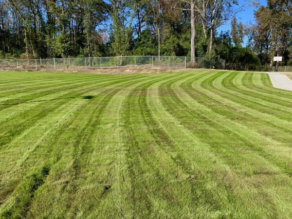 Busy Bee Lawn Care & Sprinkler Repair