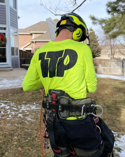 Tree Trimming Professionals