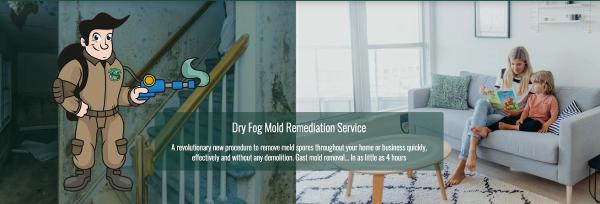Maryland Mold Busters