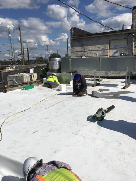 The Roofing Guy LLC