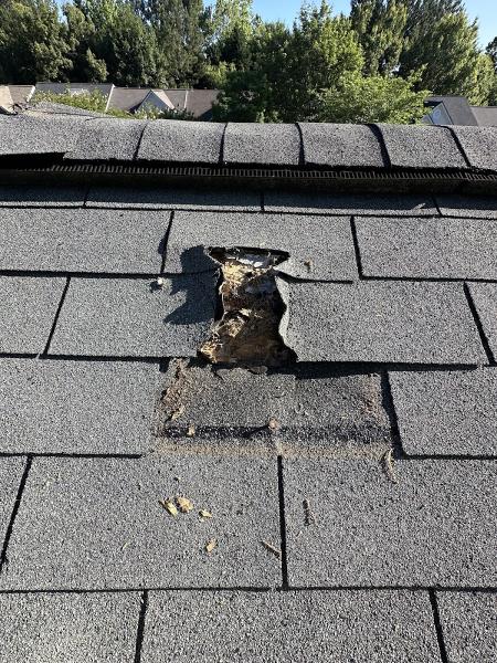 Bullseye Roofing