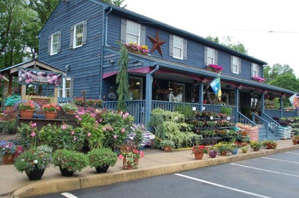Blue Tree Garden Center