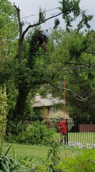 2 Brothers Tree Care Inc.