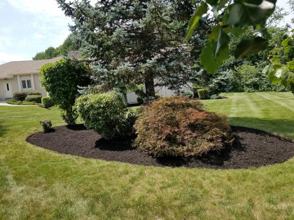 Delgado's Landscaping Llc.