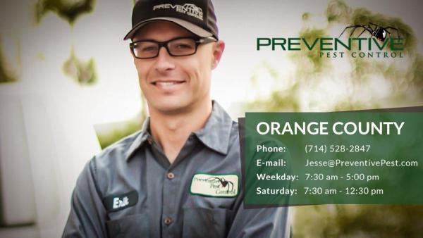 Preventive Pest Control