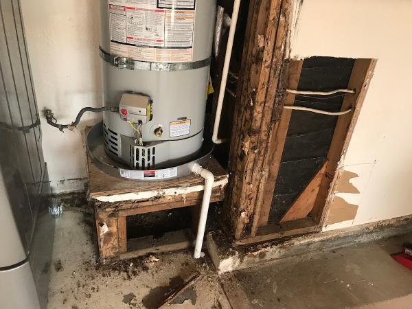 Preventive Pest Control