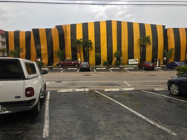 All Florida Pest Control