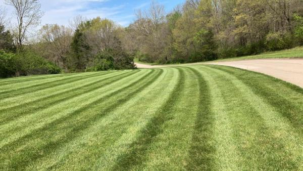 Jolly Lawncare