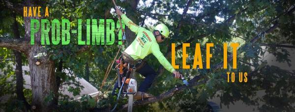 Arbormax Tree Service