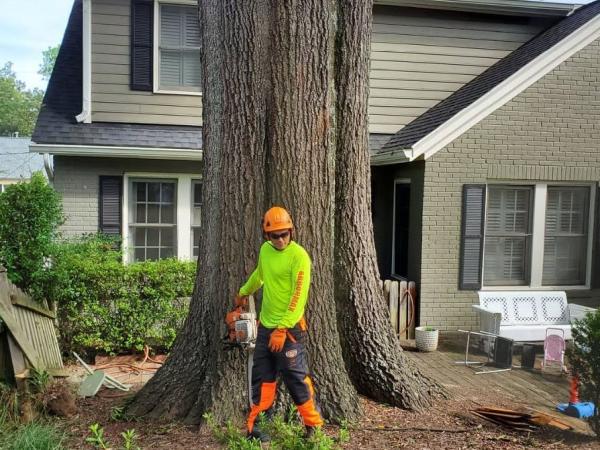 Arbormax Tree Service