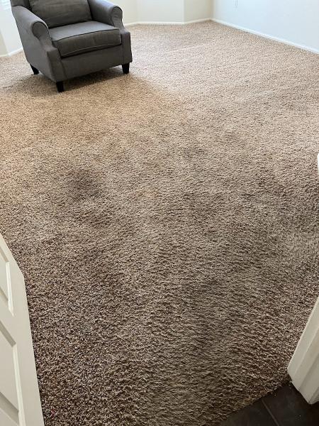 Desert Scrubz LLC