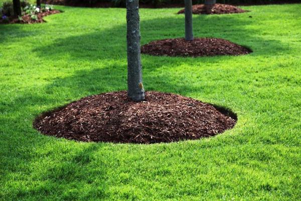 V Pitol Landscaping Inc