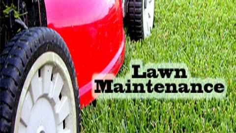 Above Professionals Landscaping