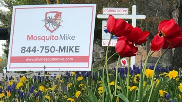 Mosquito Mike