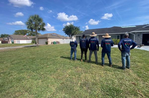 Beetles Landscaping Llc