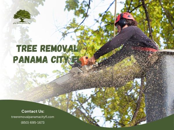 Full Tree Service Panama City