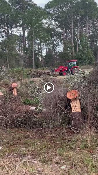 Full Tree Service Panama City