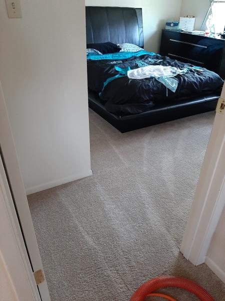 Able Body Carpet Cleaning LLC