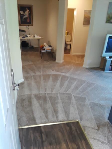 Able Body Carpet Cleaning LLC