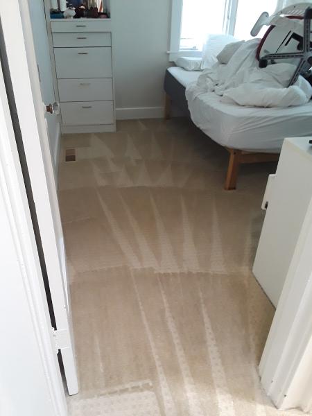 Able Body Carpet Cleaning LLC