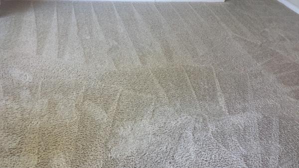 Able Body Carpet Cleaning LLC