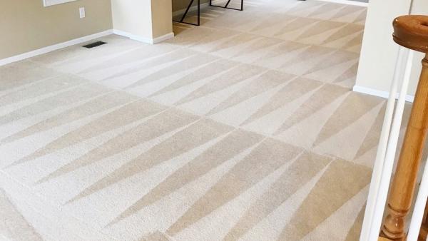 Palmetto Carpet & Tile Cleaners