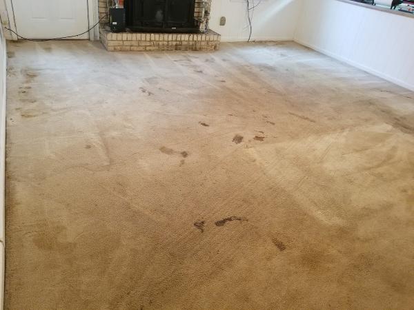 Palmetto Carpet & Tile Cleaners